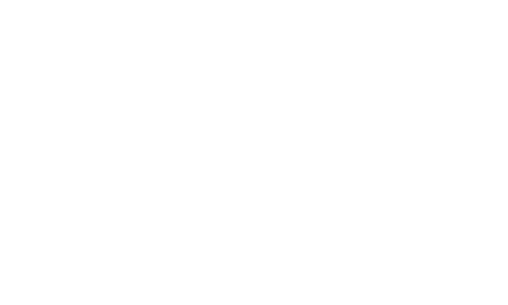 vision.png